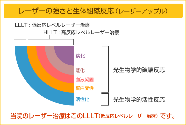 レーザーの強さと生体組織反応(レーザーアップル)